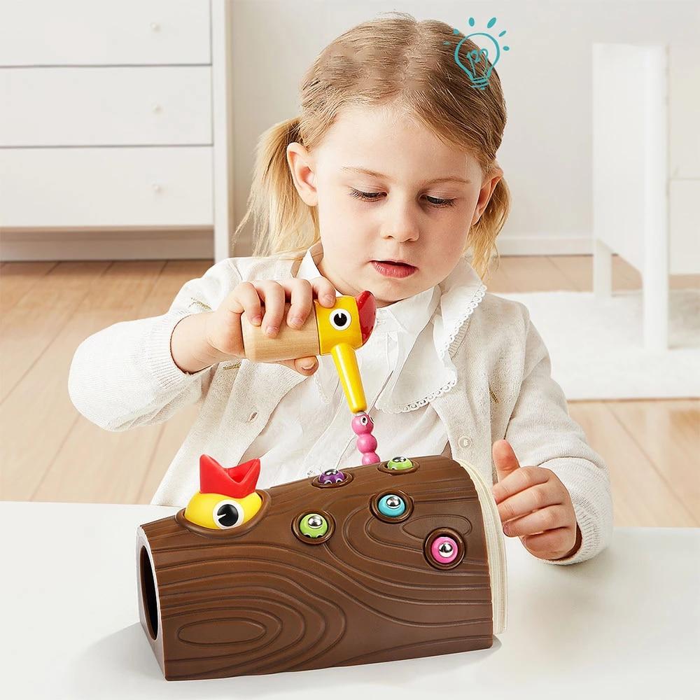Jeu magnétique - FeedingBird™
