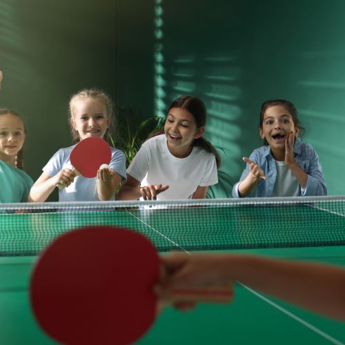 filet-table-de-ping-pong-amies