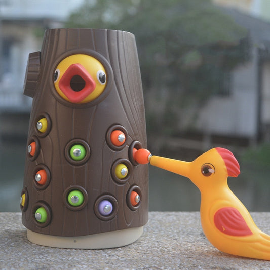 Jeu magnétique - FeedingBird™